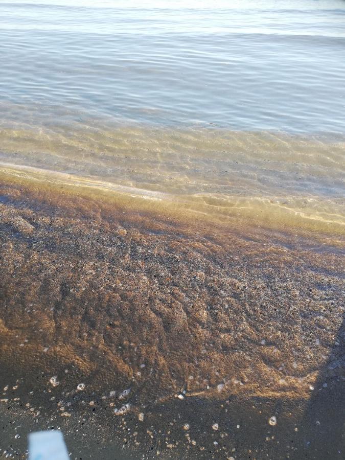 Taverna 100 Passi Dalla Riva Del Mare Lägenhet Francavilla Al Mare Exteriör bild
